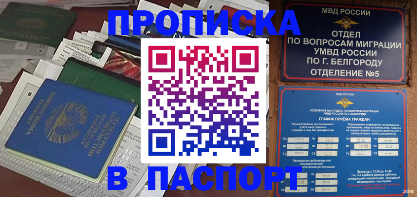 где прописаться в Бердске